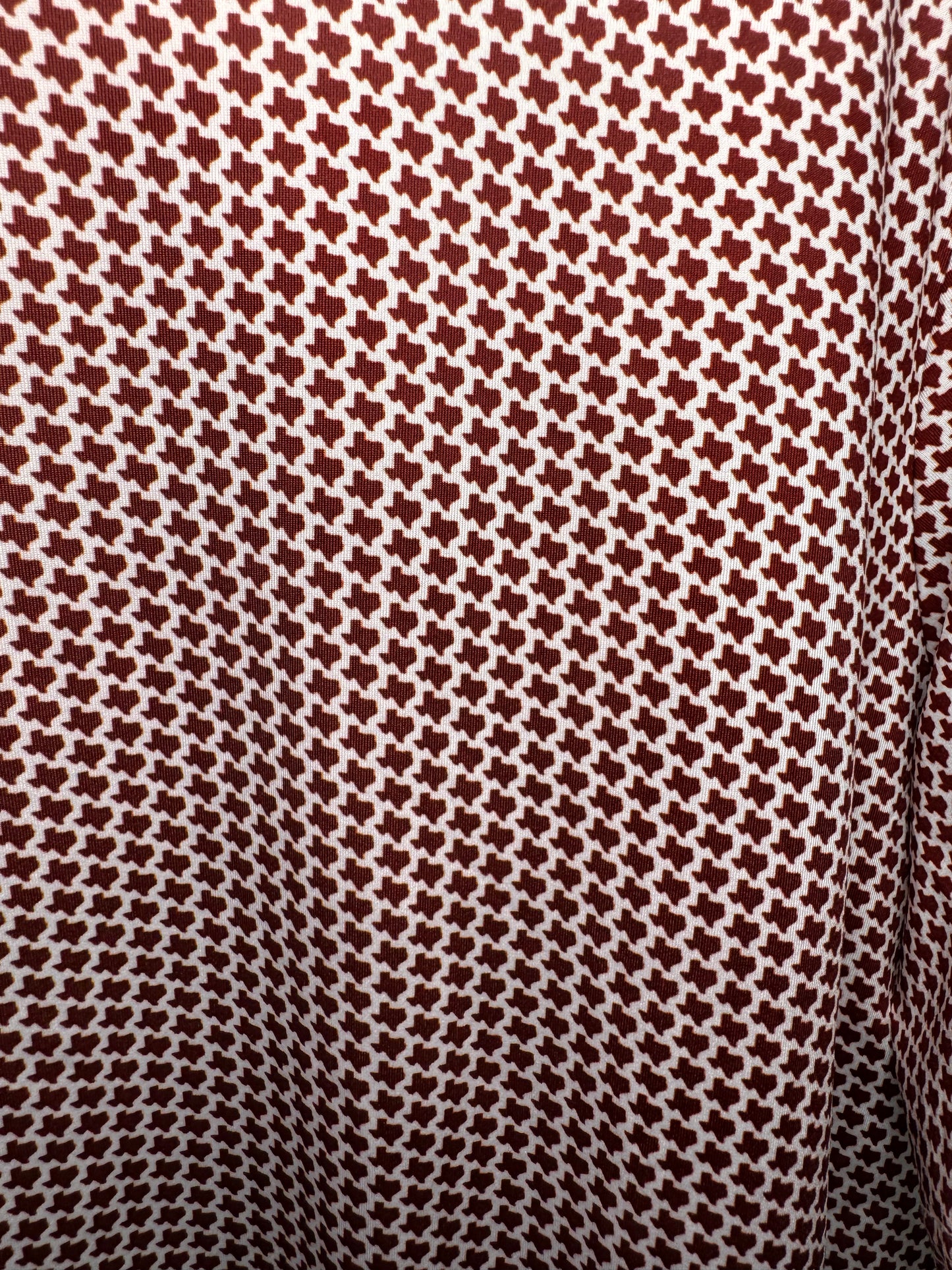 College Station Polo