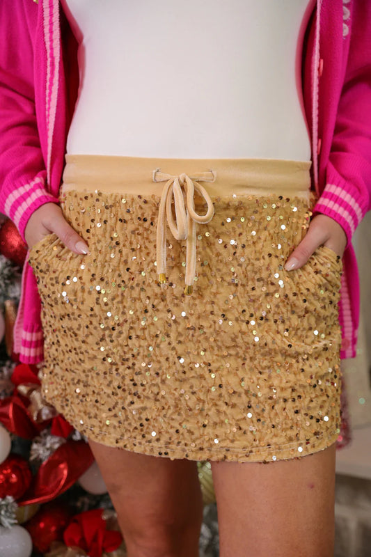 Velvet Sequin Skirt