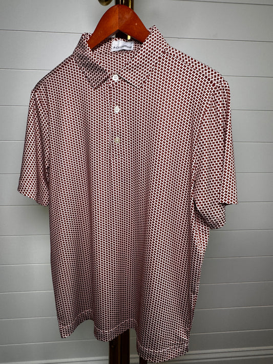 College Station Polo