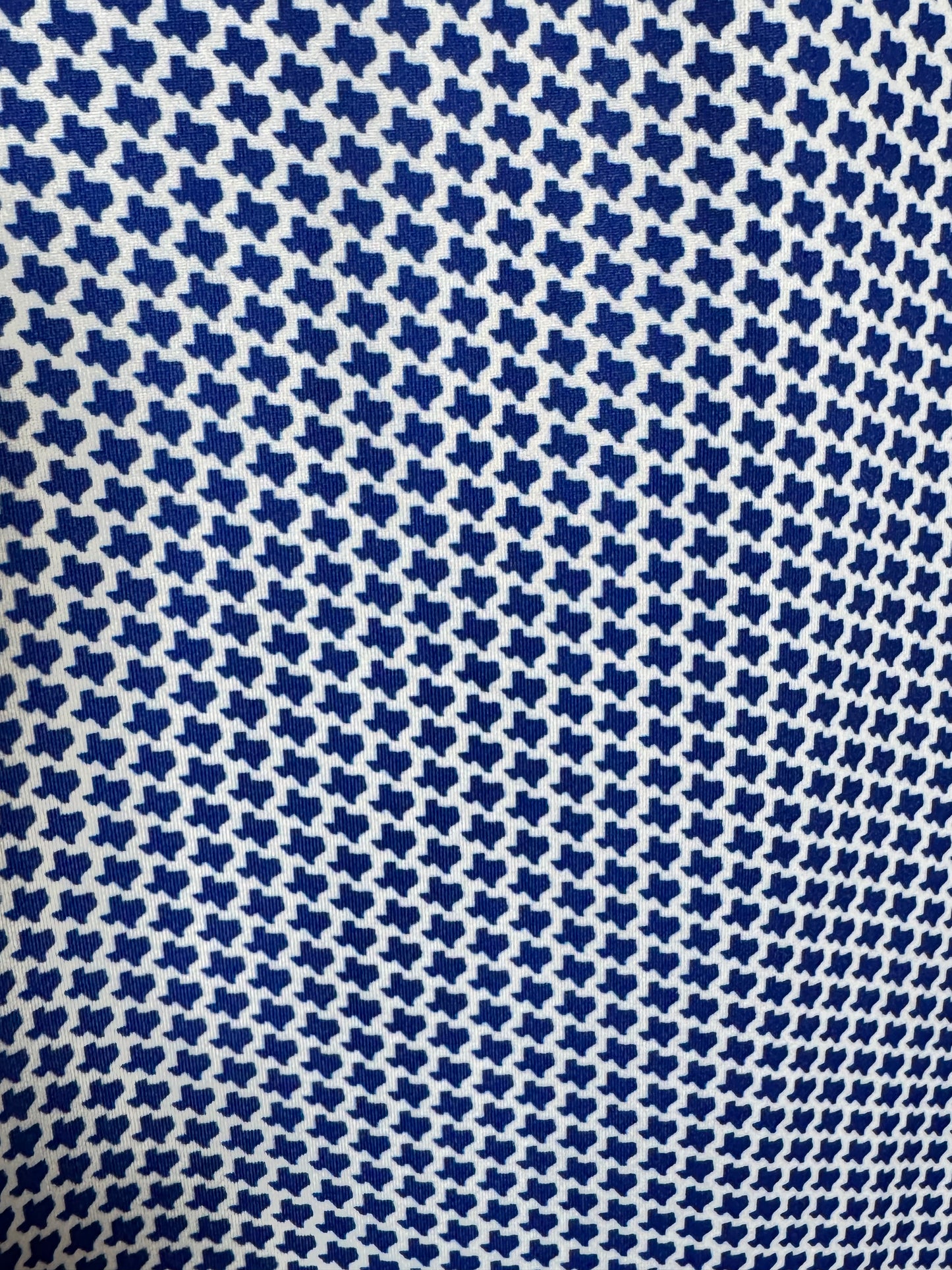 Blue Texas Polo